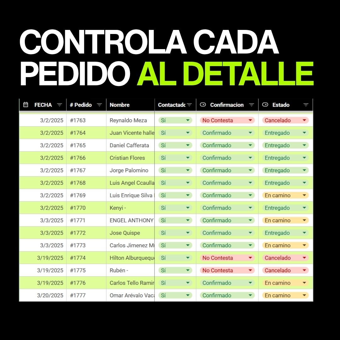 PLANTILLA COD - PROFIT & LOSS