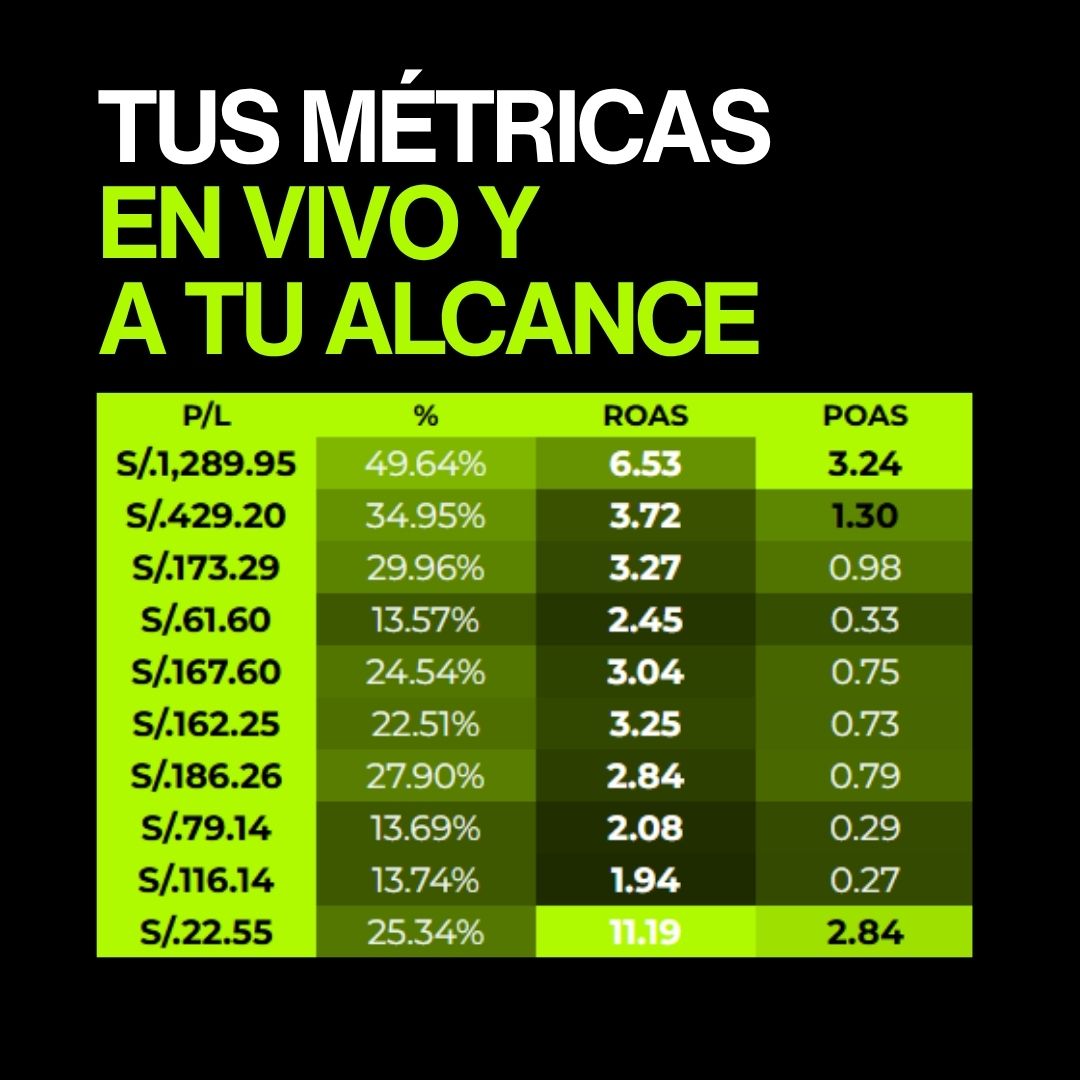 PLANTILLA COD - PROFIT & LOSS