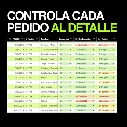 PLANTILLA COD - PROFIT & LOSS